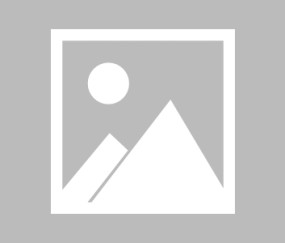 开云直播平台-狂野数据下的静默角逐，东契奇20场不败数据链与掘金的极限挑战，东契奇20场不败数据链对决掘金极限挑战